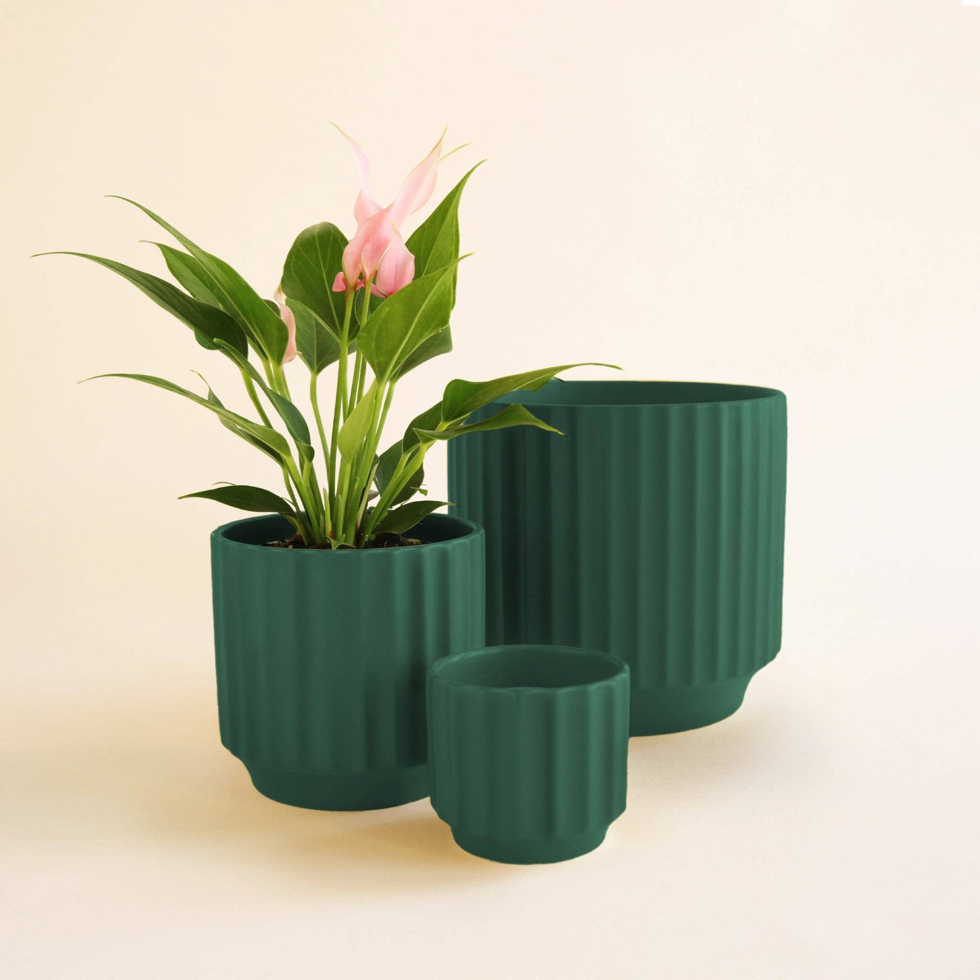 Monroe Planter - Rainforest |  - Cedar Witch Goods