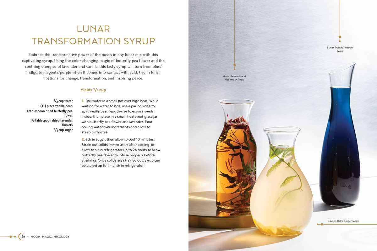 Moon, Magic, Mixology by Julia Halina Hadas