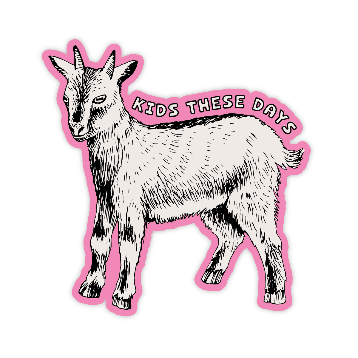 Kids These Days Goat Magnet