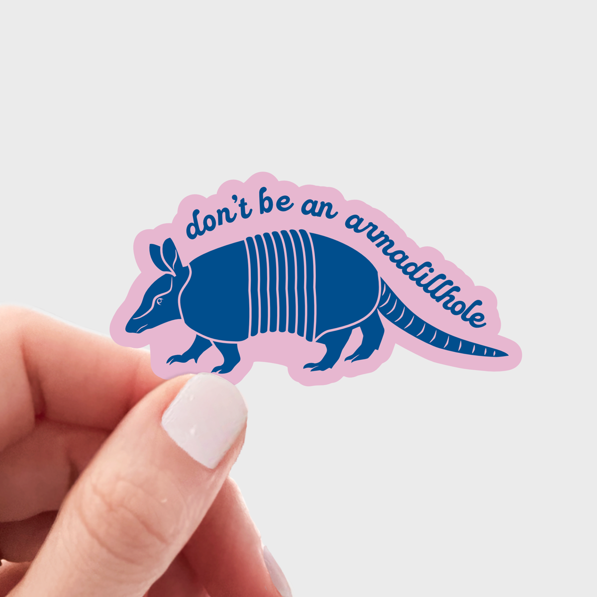 Don&#39;t be an Armadillhole Sticker - armadillo, texas, western