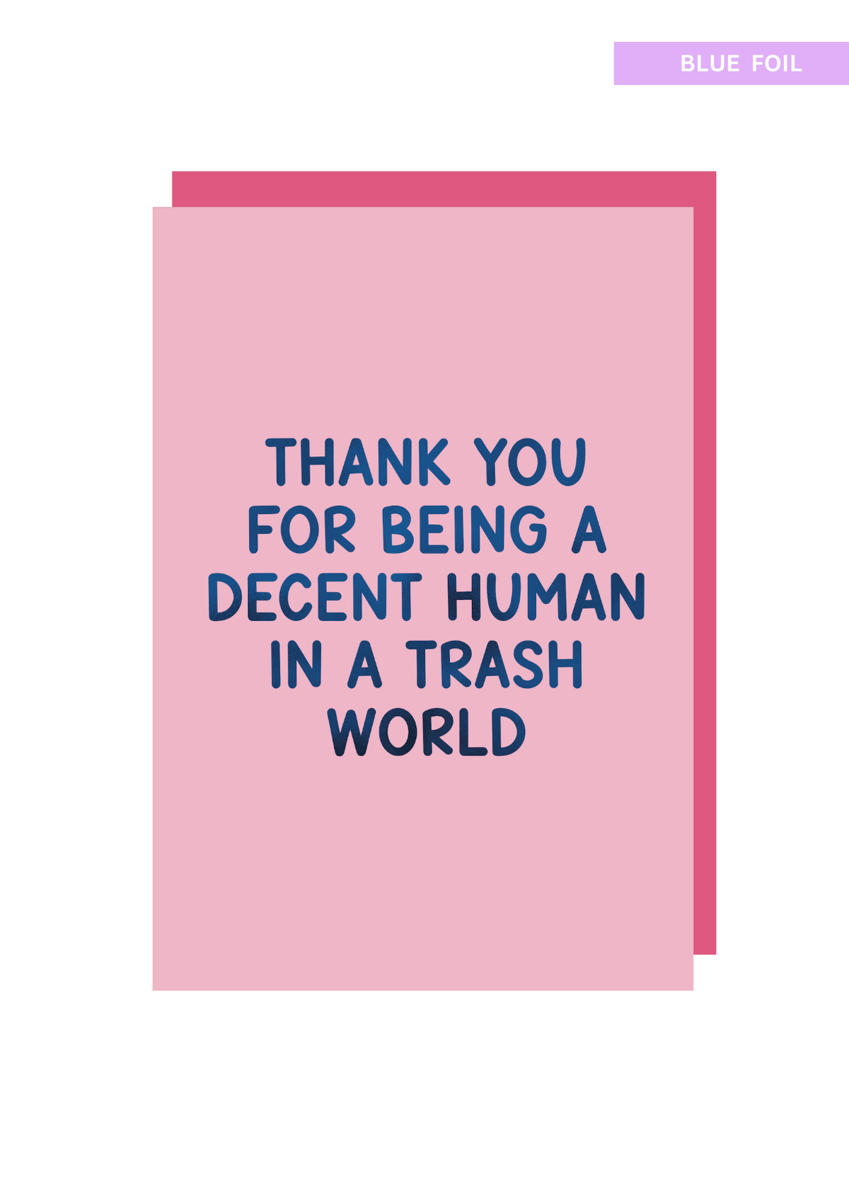 Thank You For Being Decent Greeting Card
