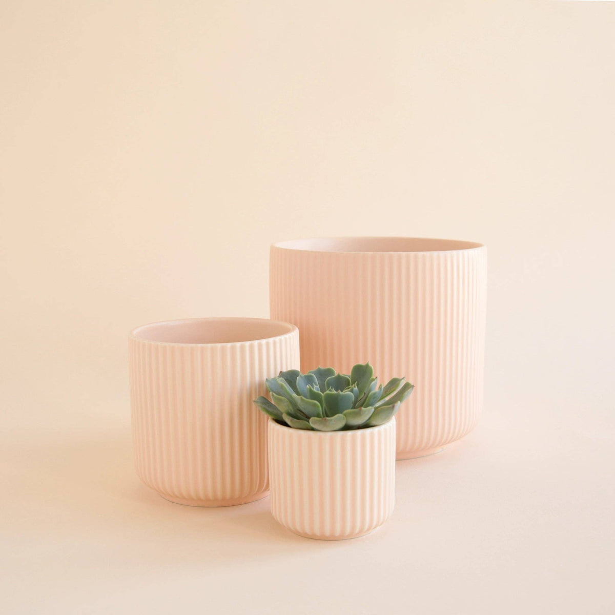 Lucy Planter | Ballerina