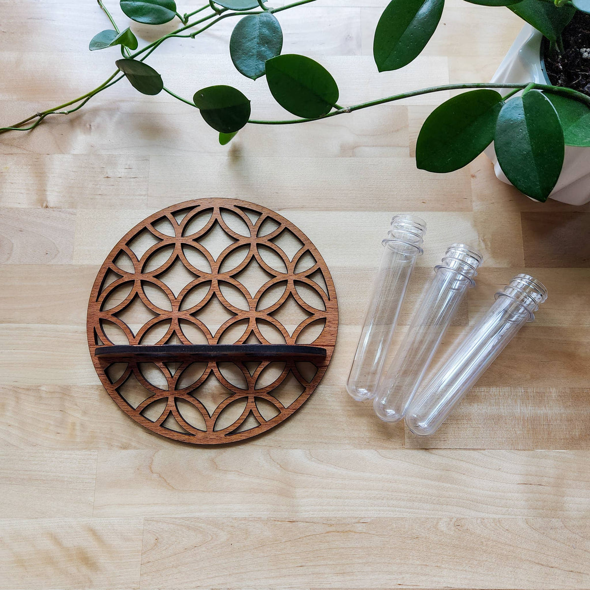 Round Wall Hanging Propagation Station