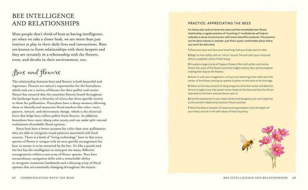 Wisdom of Honeybees by Shonagh Home