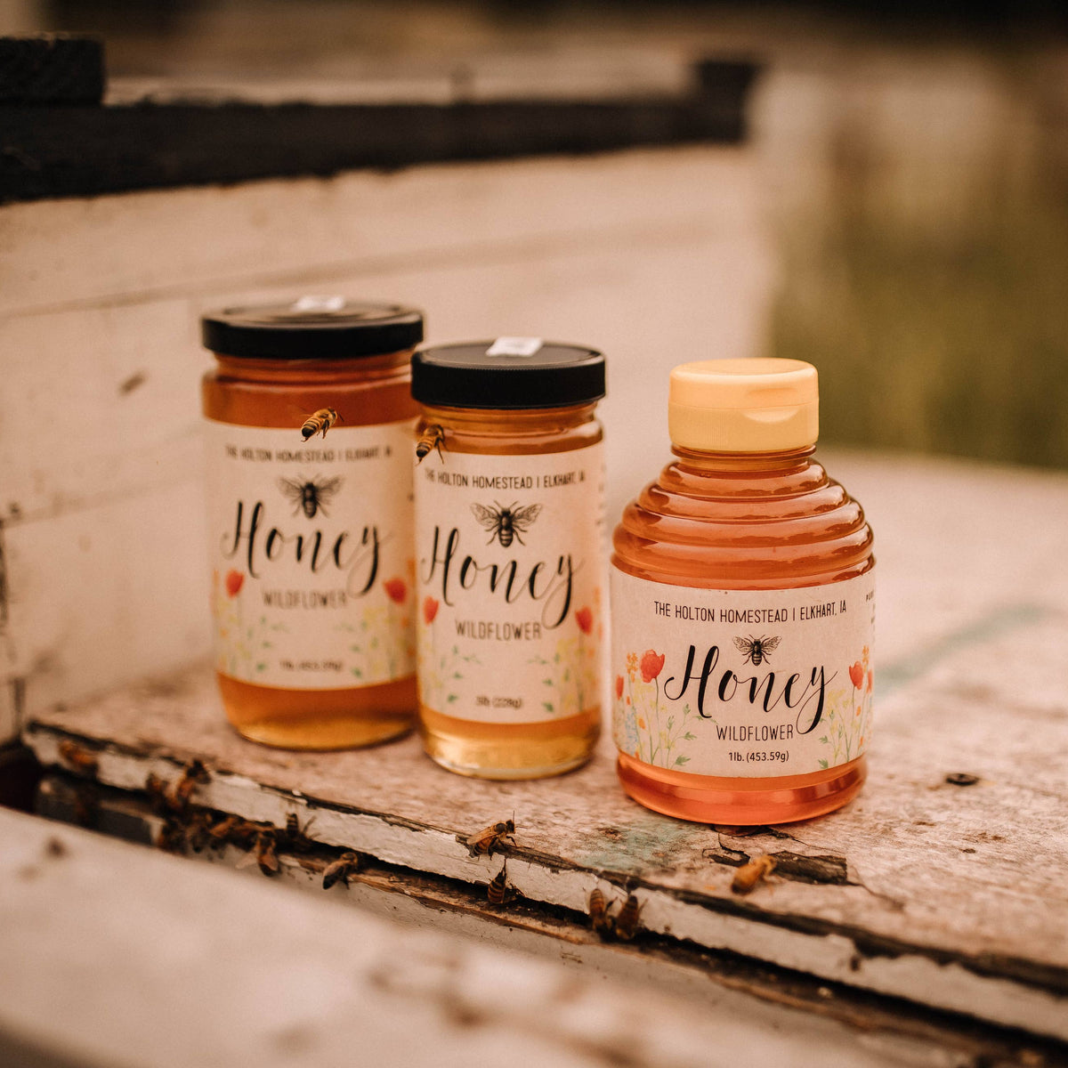 Iowa Wildflower Honey | The Holton Homestead