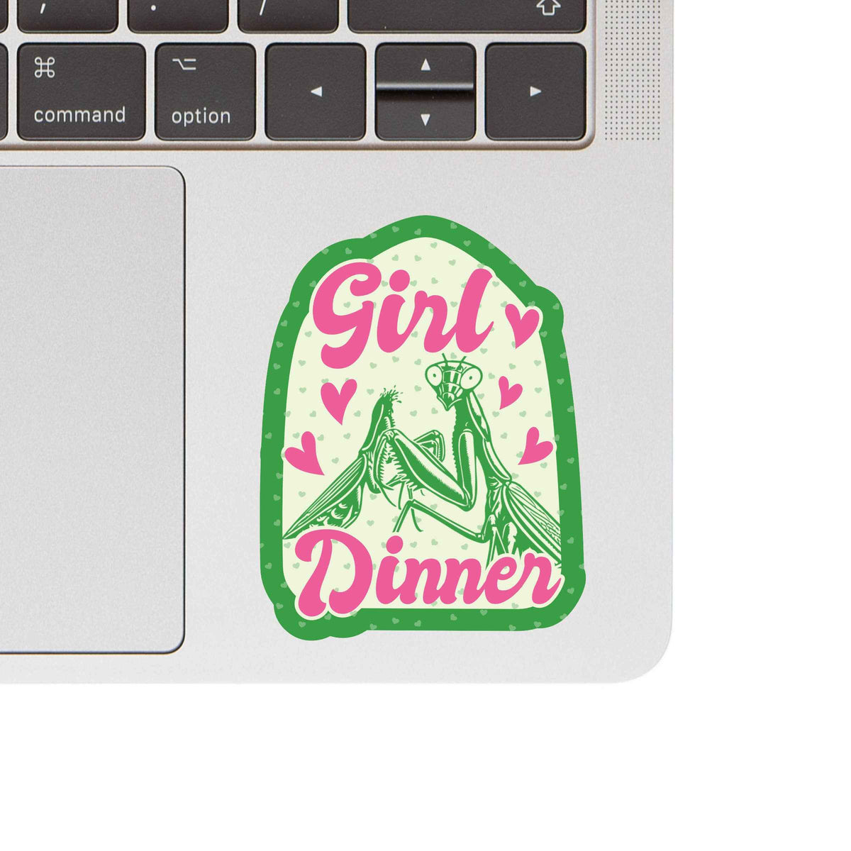 Feminist Insect Bug Funny Cute High Quality Vinyl Sticker