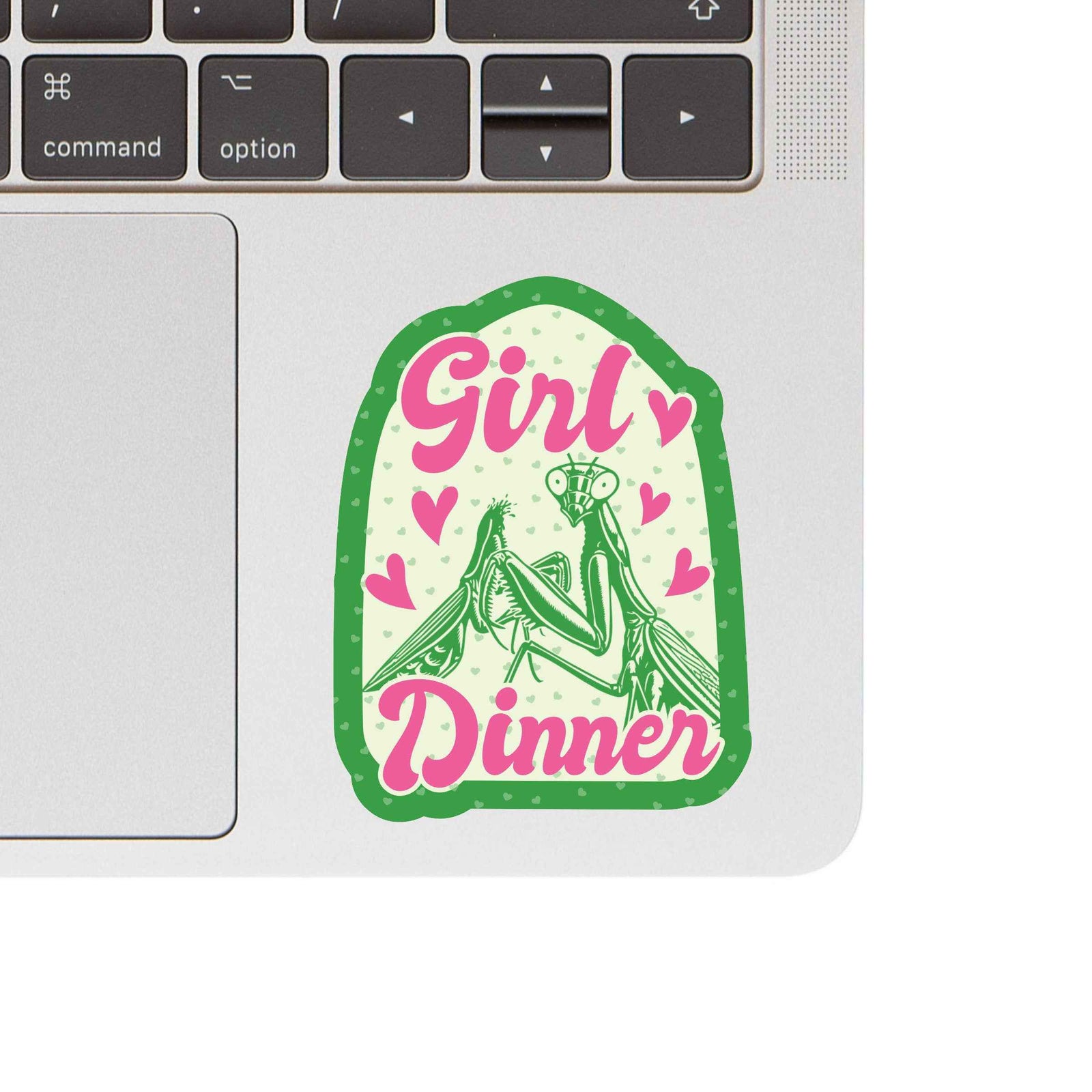 Feminist Insect Bug Funny Cute High Quality Vinyl Sticker
