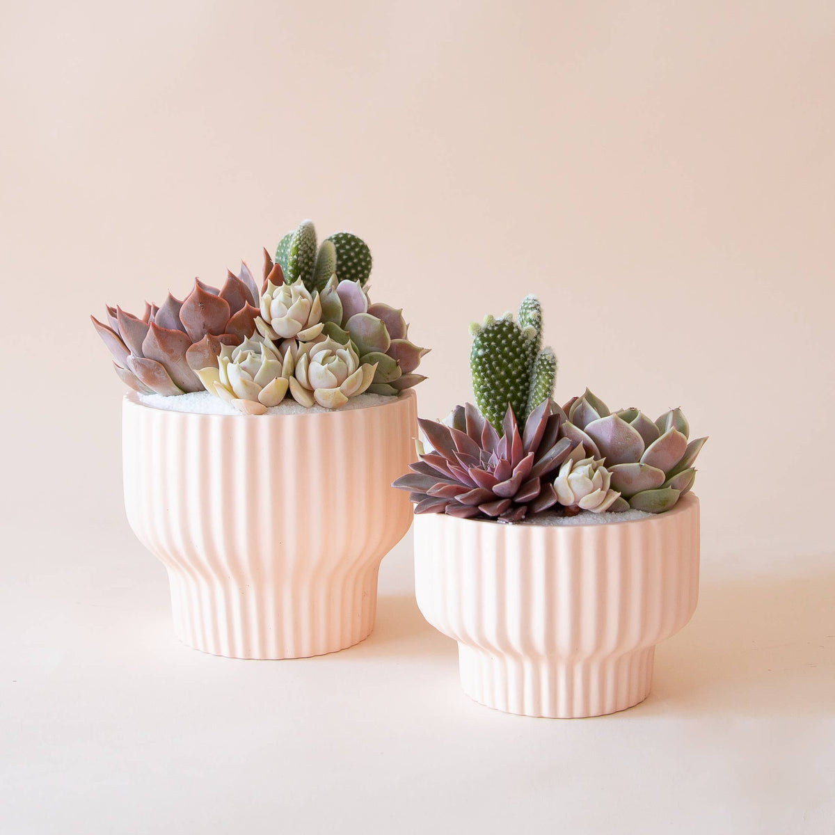 Presley Pedestal Planter | Ballerina