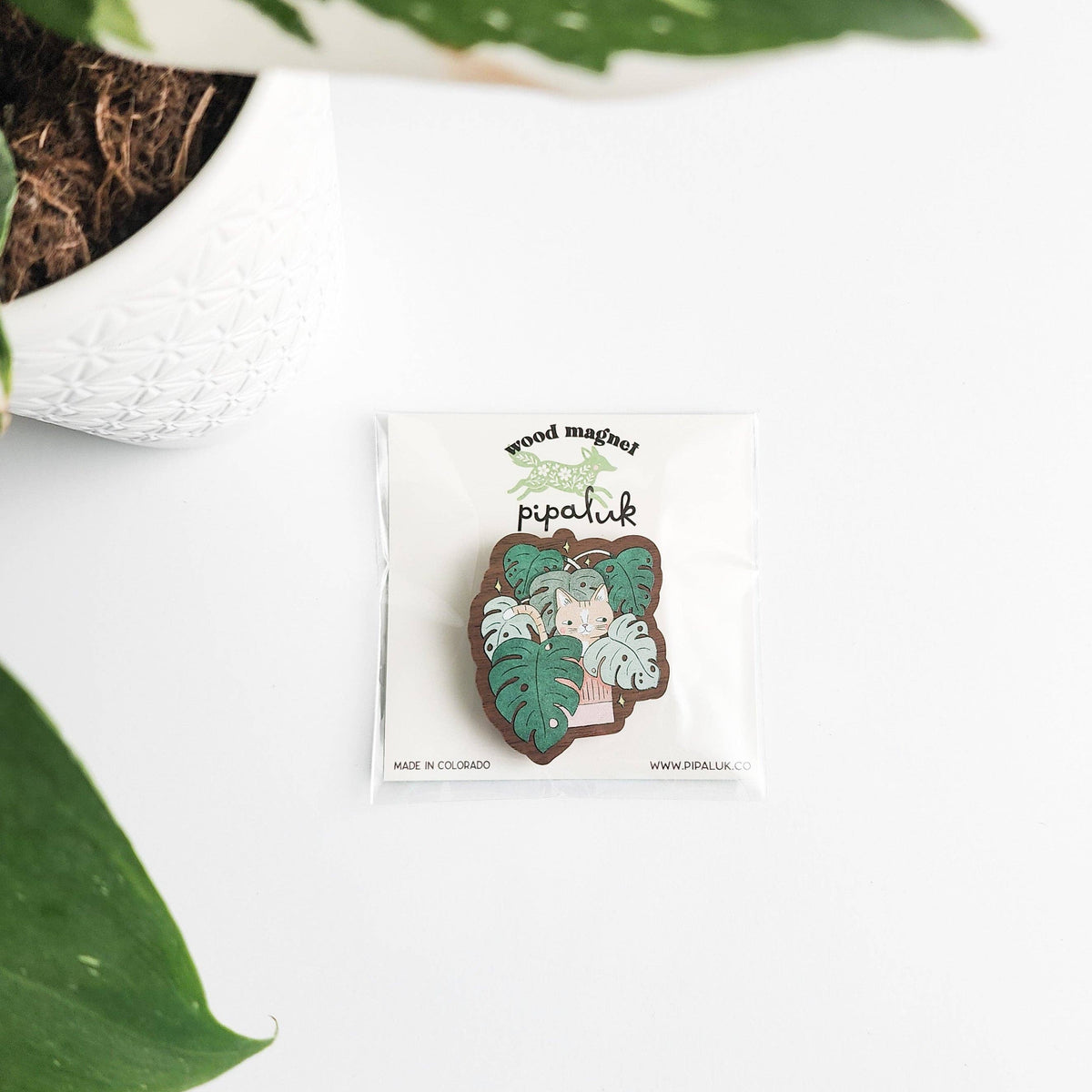 Cat in monstera refrigerator magnet