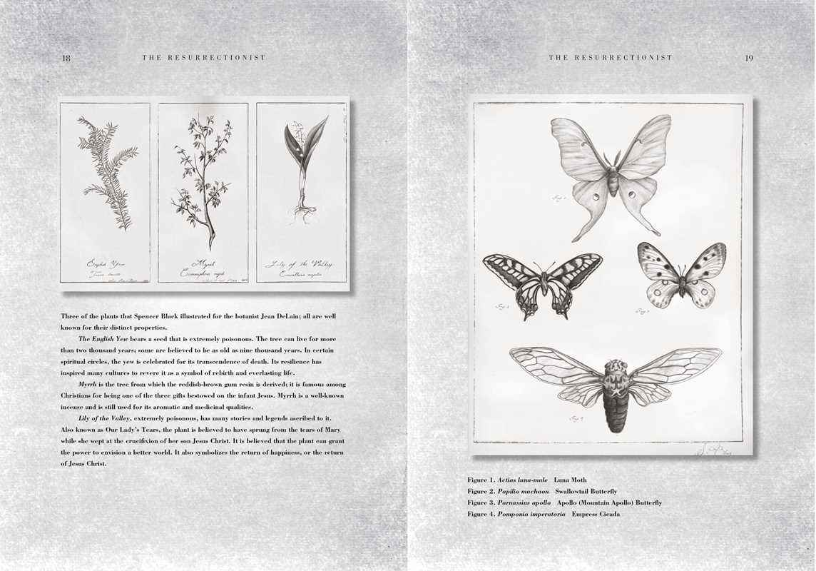Resurrectionist by E. B.  Hudspeth