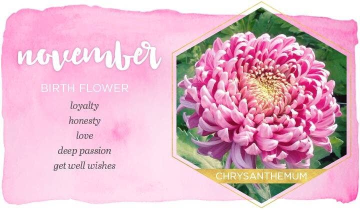 Chrysanthemum (November Birth Flower) Pressed Flower Necklace