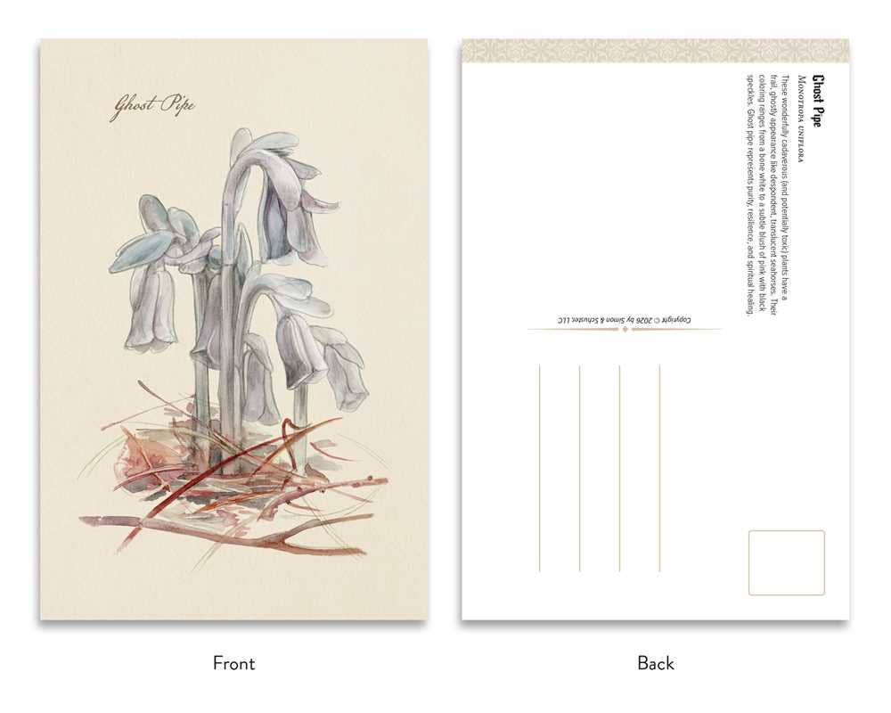 Goth Garden Post Cards: Dark Blooms by Felicia Feaster