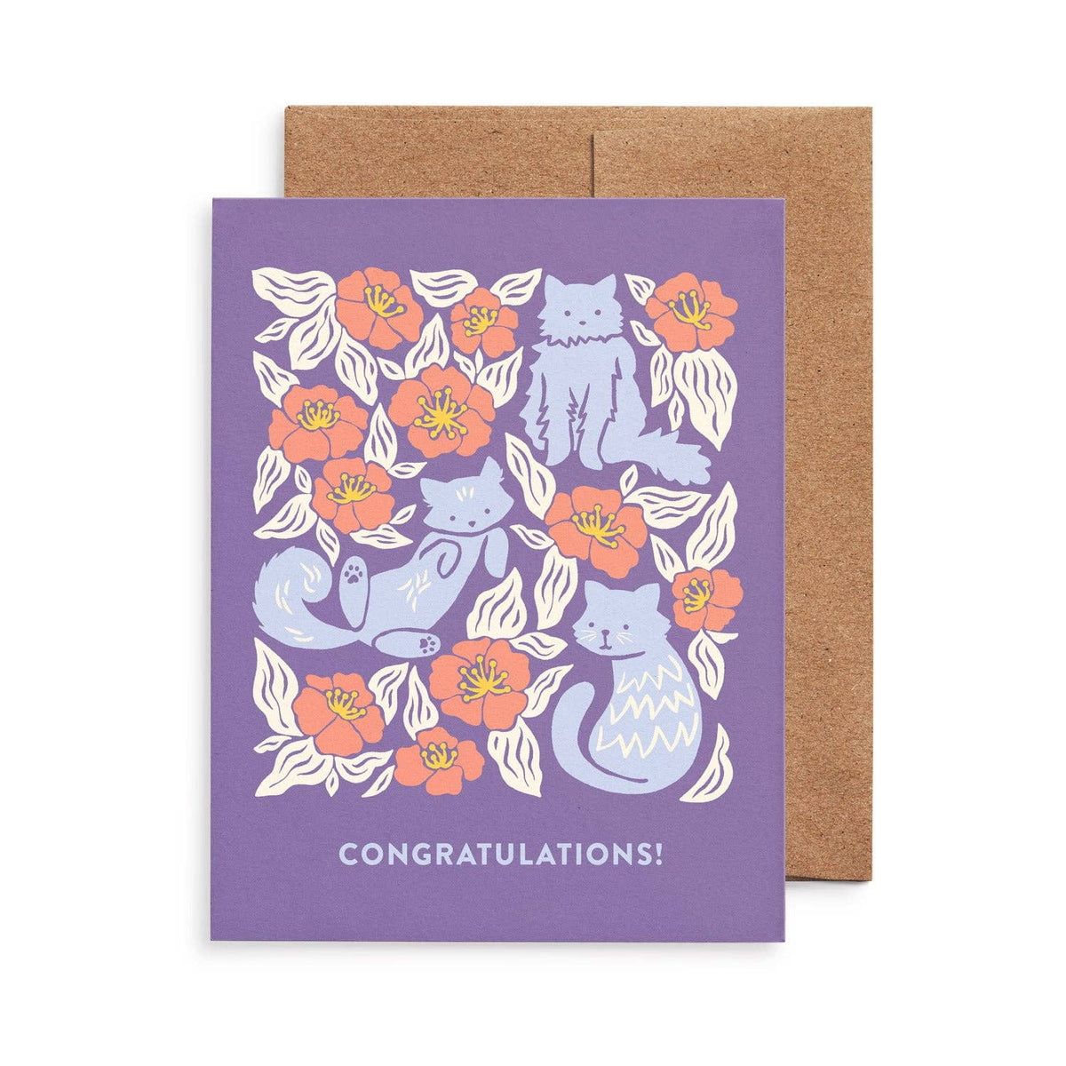 Cats All-Occasion Greeting Card Set: Boxed Set of 8