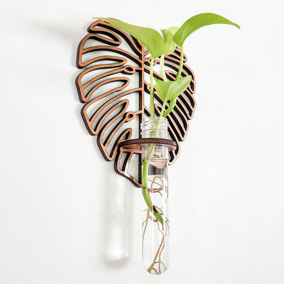 Wall Hanging Propagation Station - Monstera Leaf Design