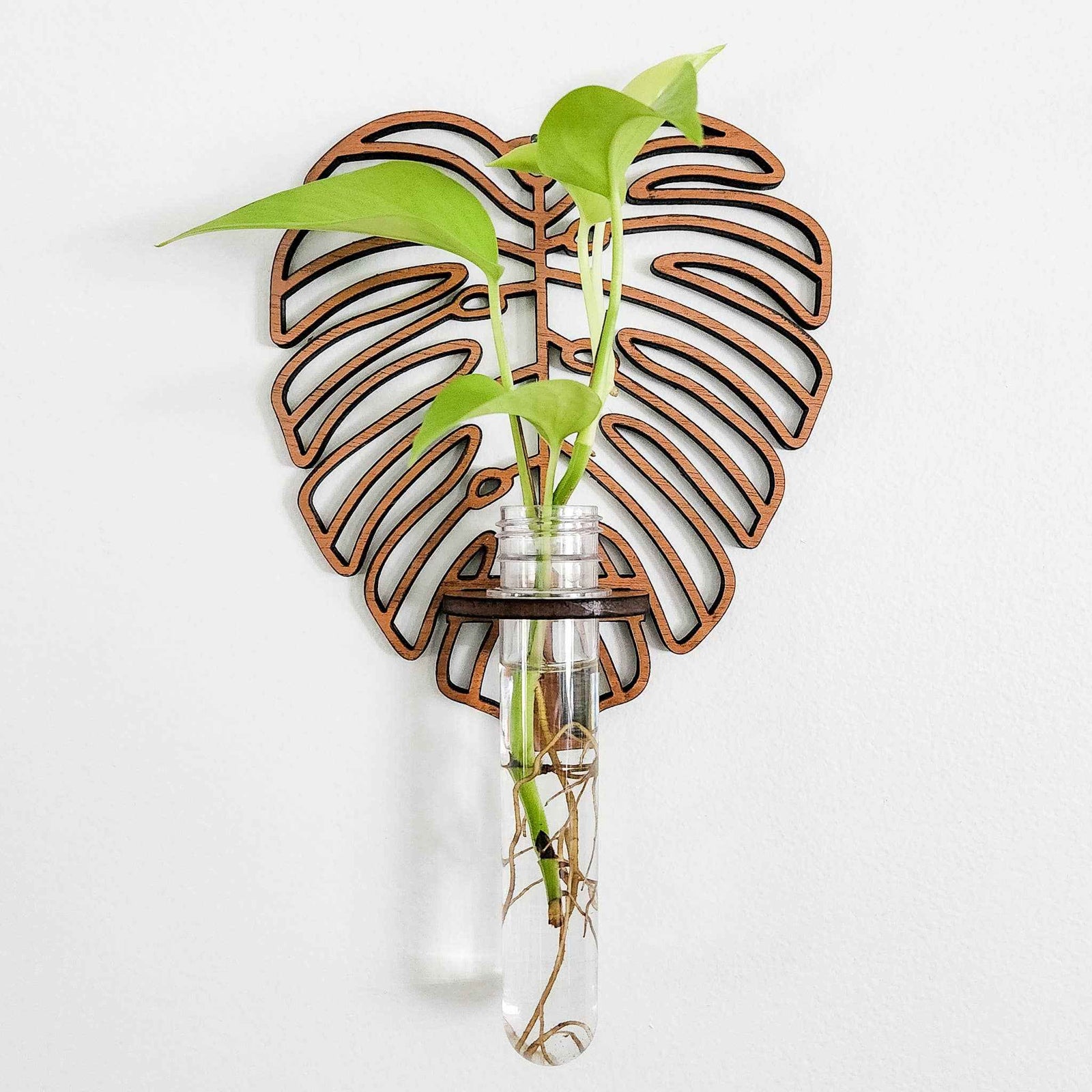 Wall Hanging Propagation Station - Monstera Leaf Design