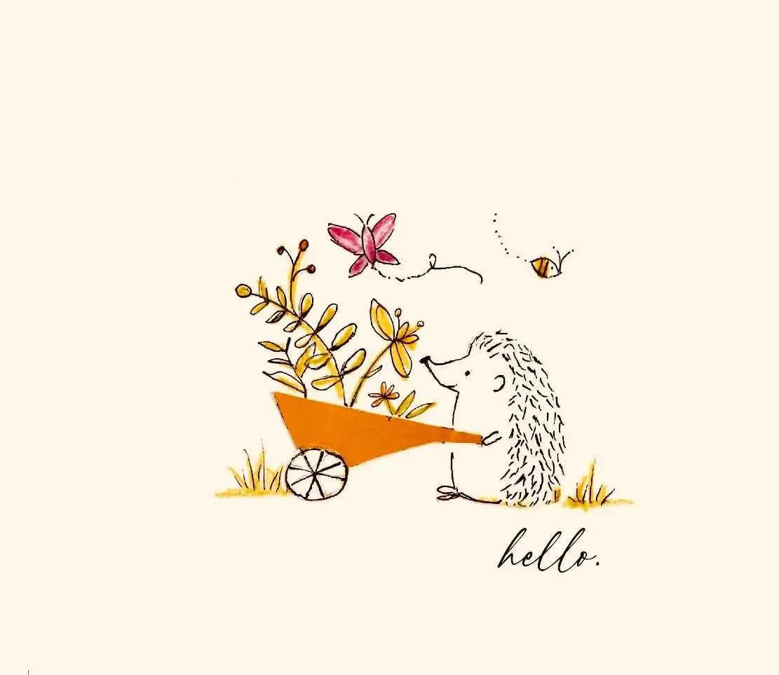 Hedgehog Hello Note Cards wheelbarrow plant Greeting