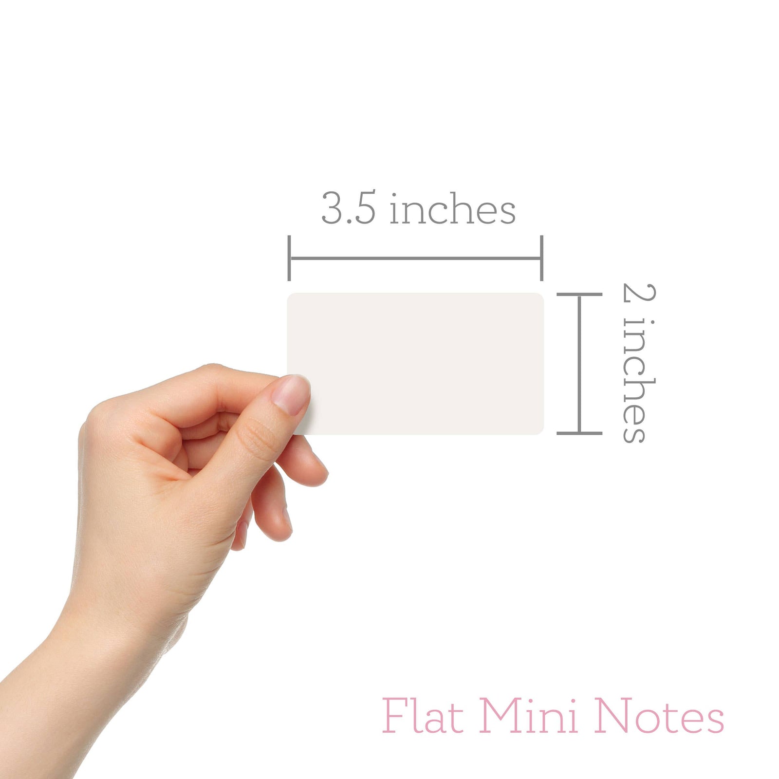 Skull & Stars - Mini Note Cards (Pack of 56) |  - Cedar Witch Goods