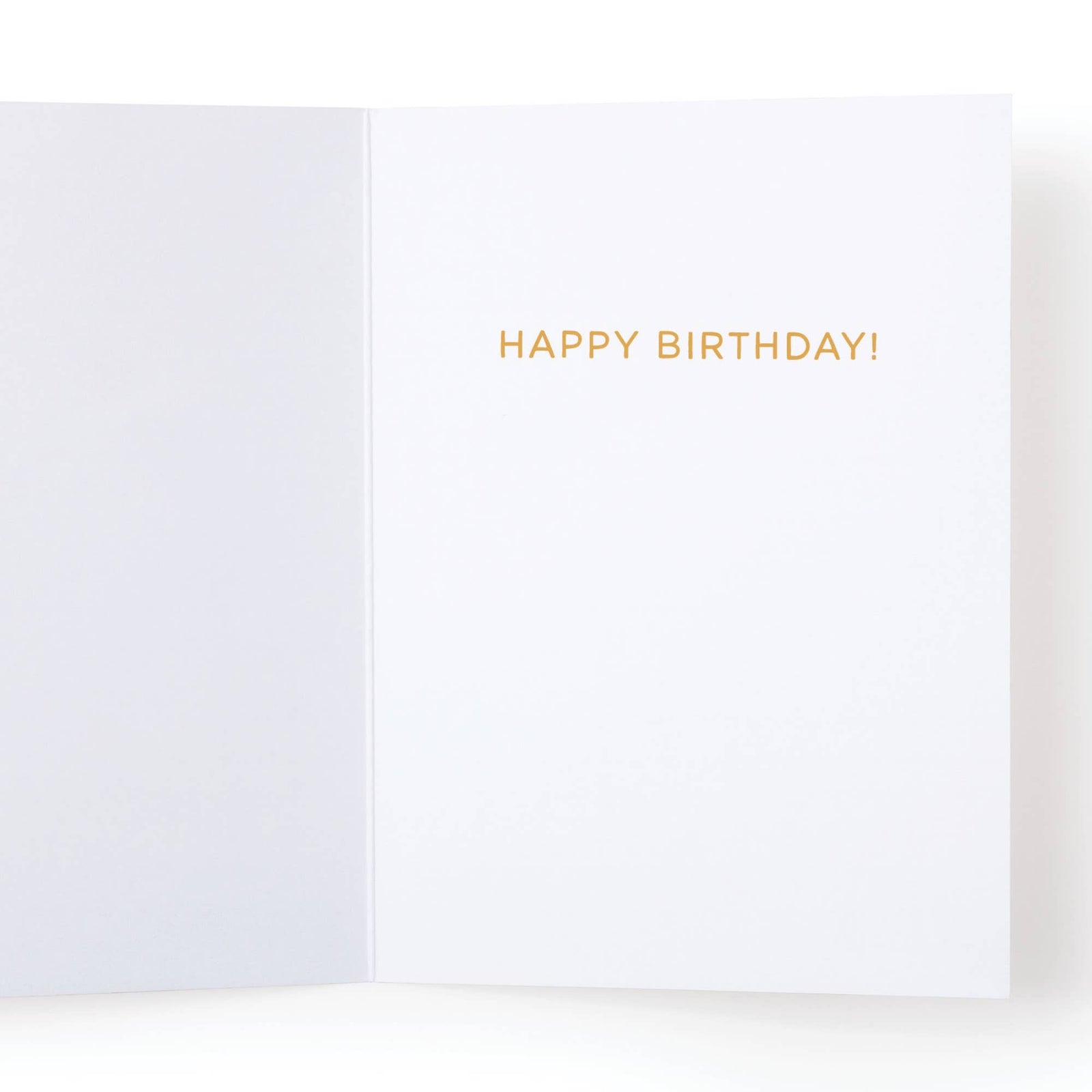 Older Not Wiser Birthday Greeting Card |  - Cedar Witch Goods