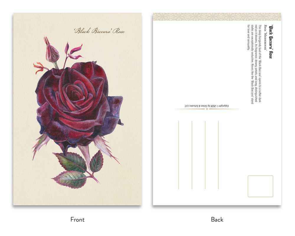Goth Garden: Dark Blooms by Felicia Feaster