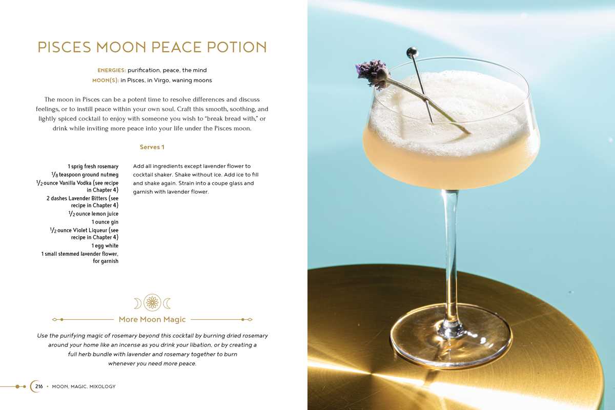 Moon, Magic, Mixology by Julia Halina Hadas