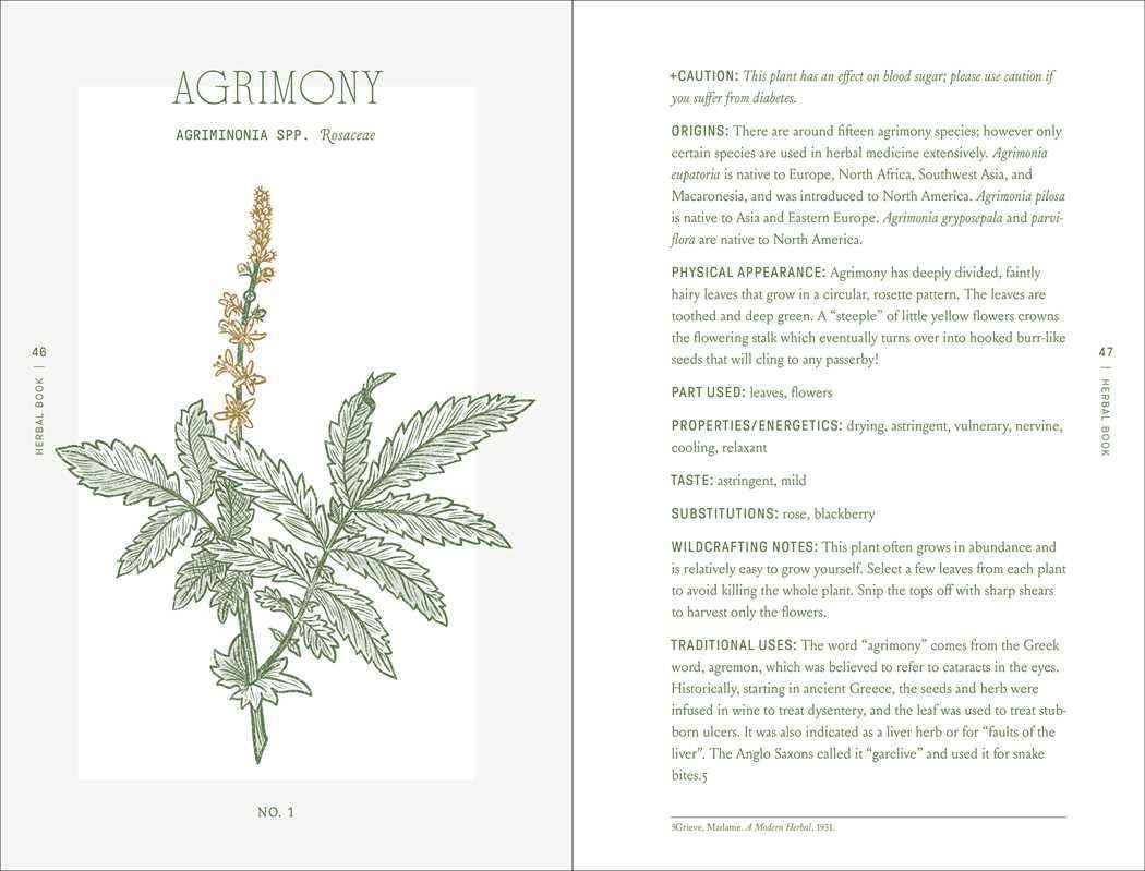 Complete Folk Herbal by Rebecca Beyer