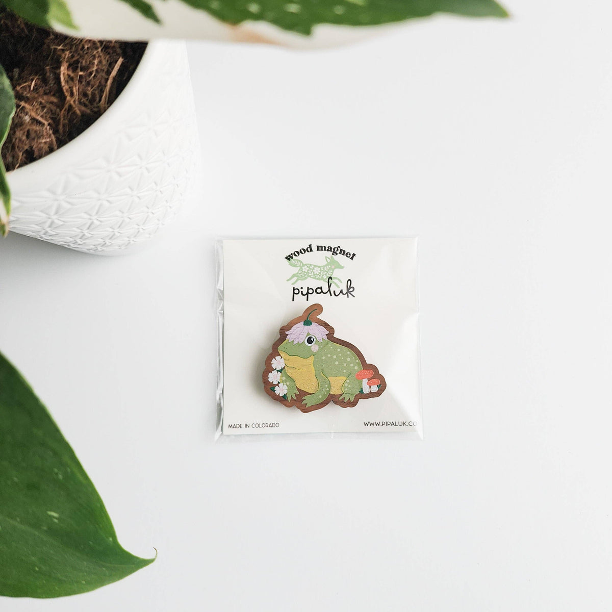 Hoppy toad refrigerator magnet