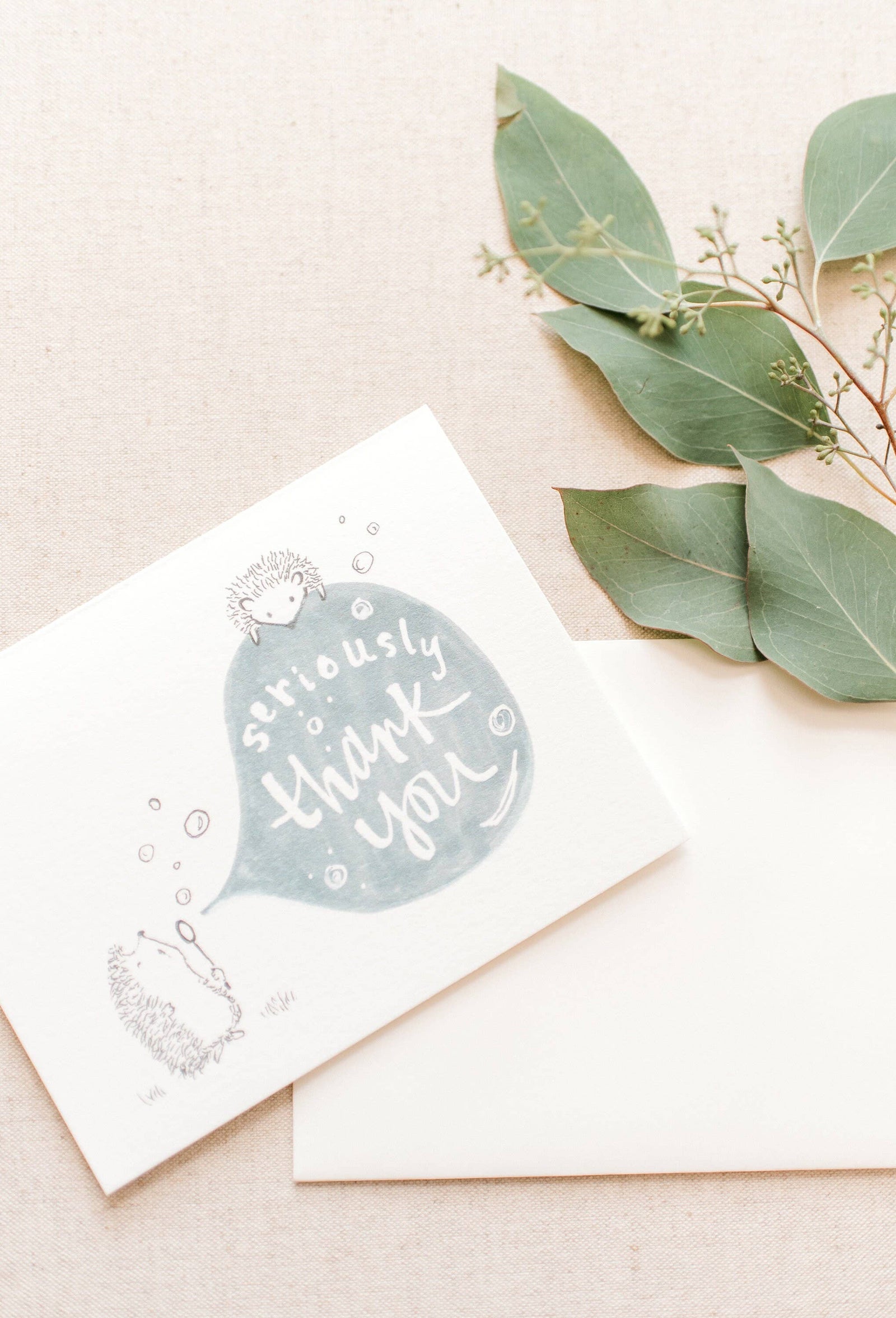 Box of 6 Hedgehog Thank You Note Cards Hedgehog Card Bubbles