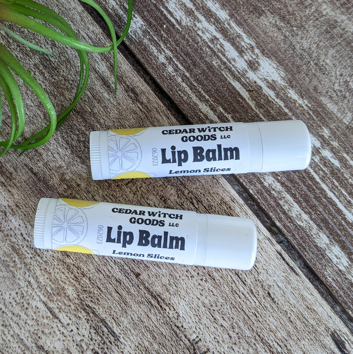 Lemon Slices Lip Balm With Lanolin