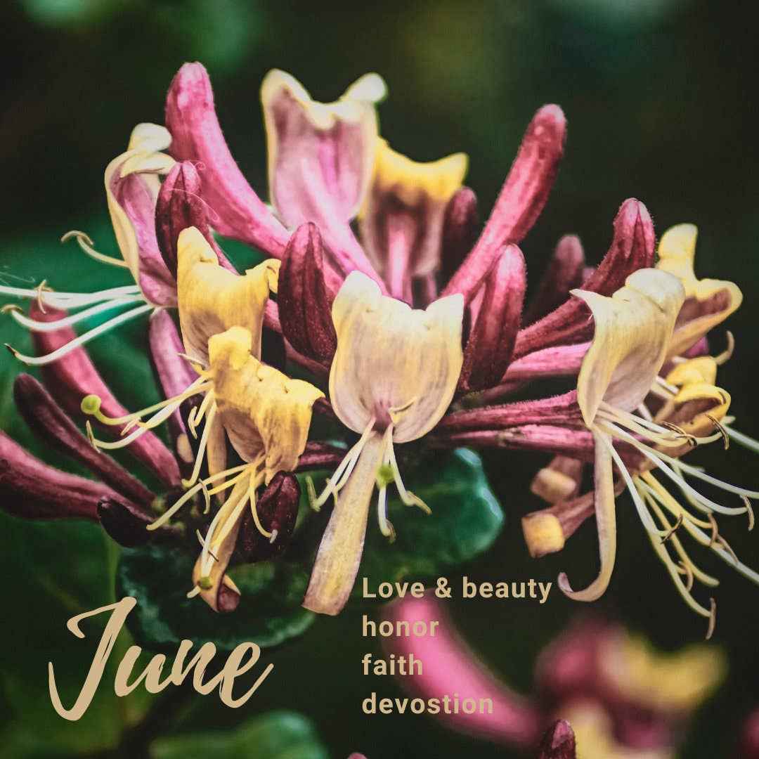 June birth flower necklace - Honeysuckle