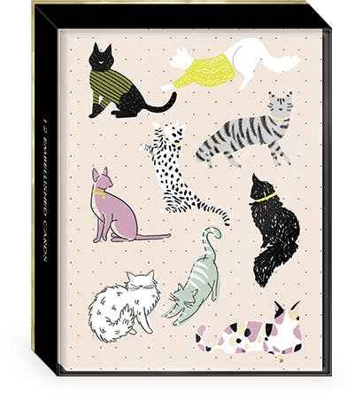 Window Box Notecards SKETCHED PETS CATS