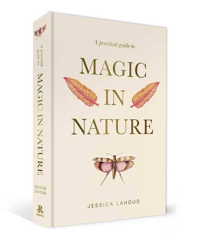 A Practical Guide to Magic in Nature by Jessica Lahoud