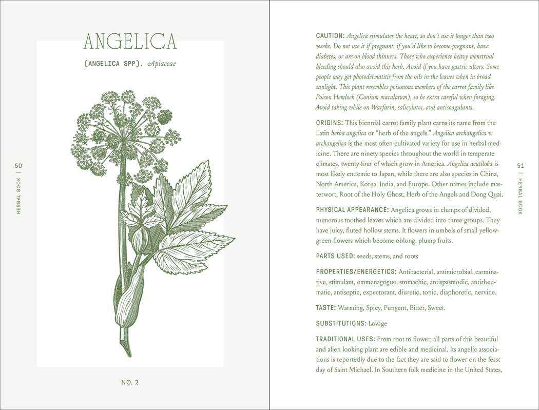 Complete Folk Herbal by Rebecca Beyer