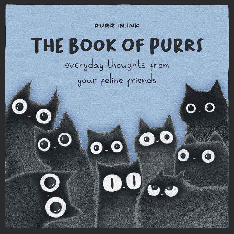 Book of Purrs by Luis  Coelho