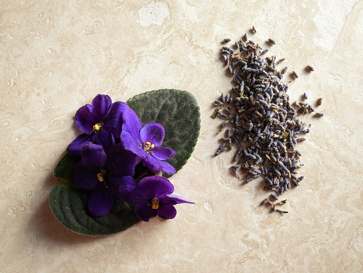 Black Violet &amp; Lavender