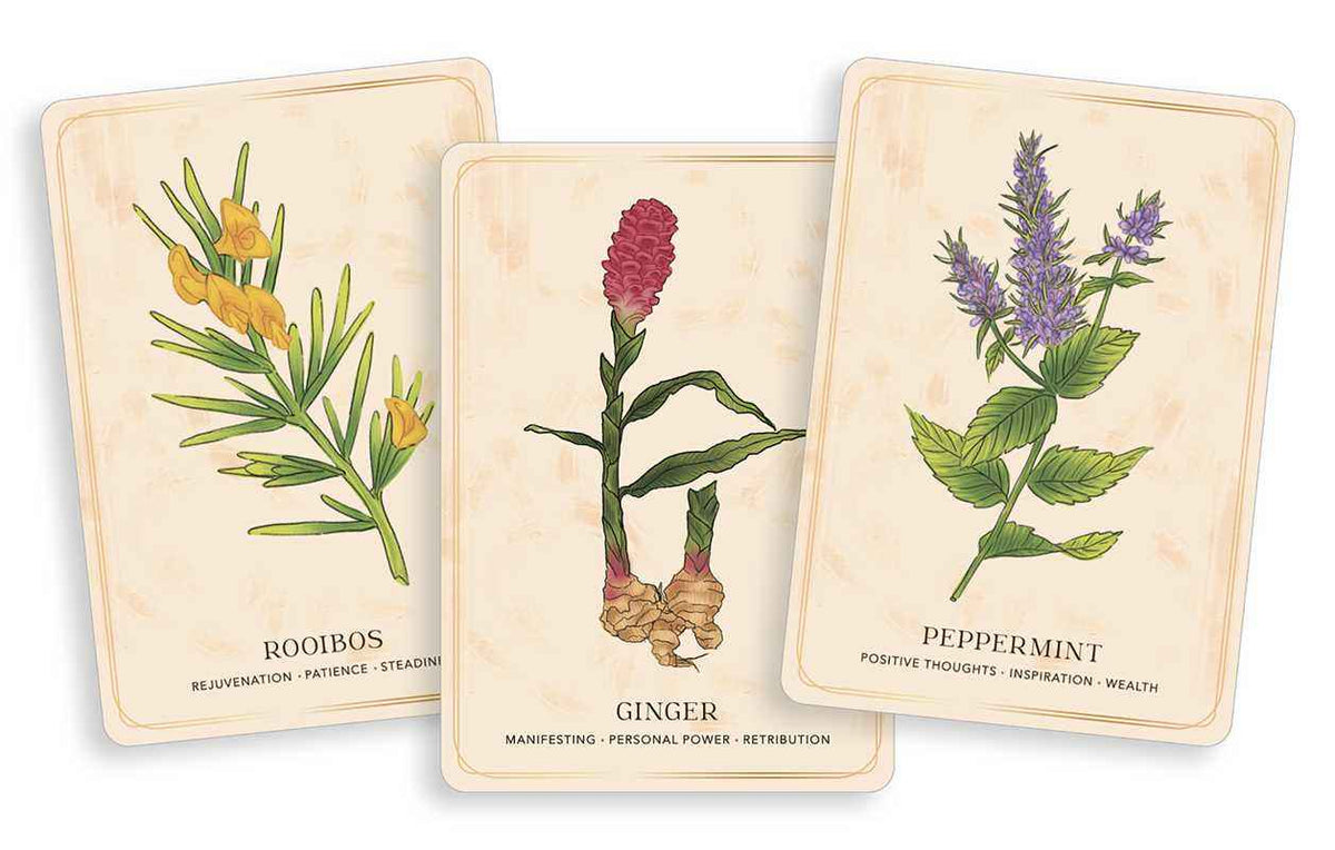 Herbal Tea Magic for the Modern Witch Oracle Deck by Elsie Wild
