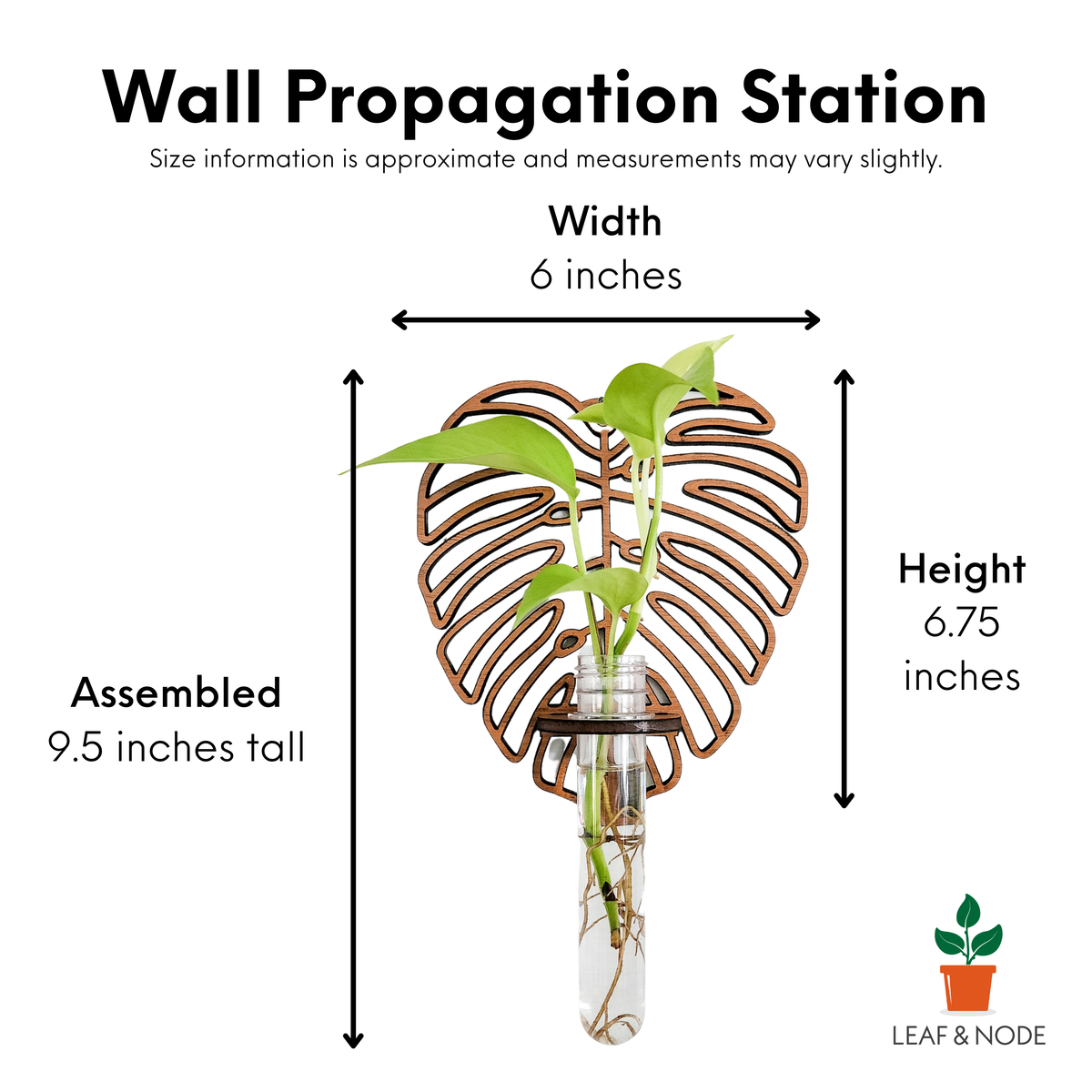 Wall Hanging Propagation Station - Monstera Leaf Design
