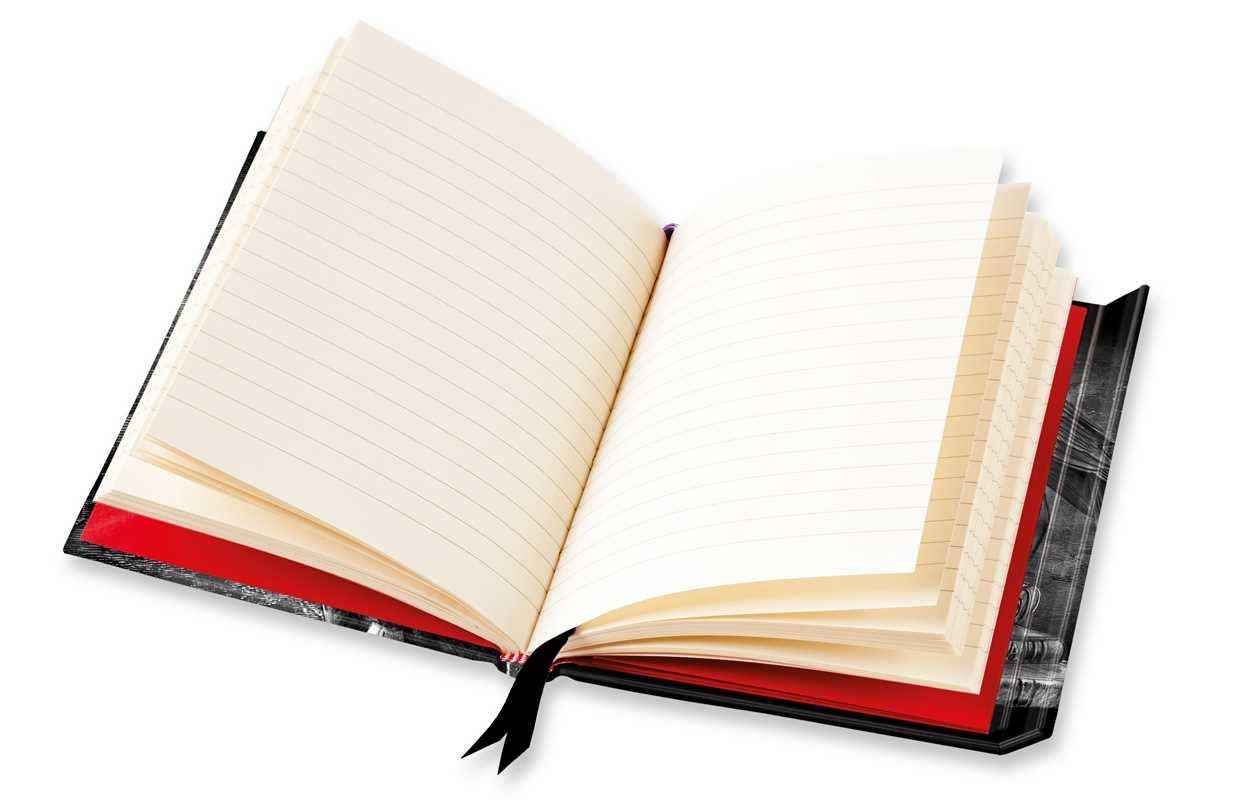 Alchemy: Poe's Raven (Foiled Journal) by