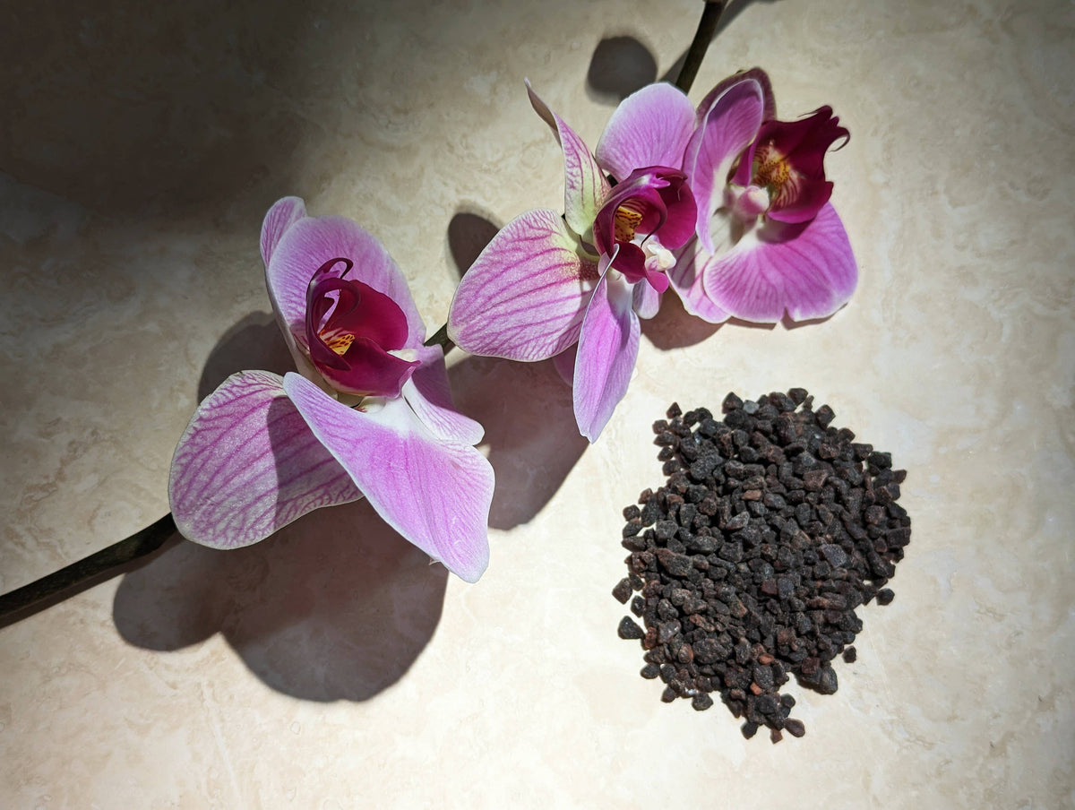 Wild Orchid &amp; Black Salt (Mini)