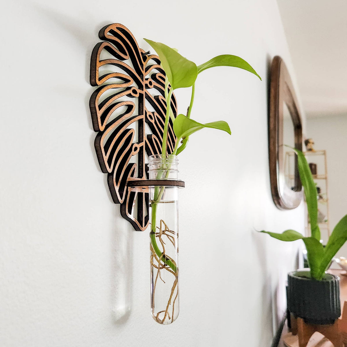 Wall Hanging Propagation Station - Monstera Leaf Design