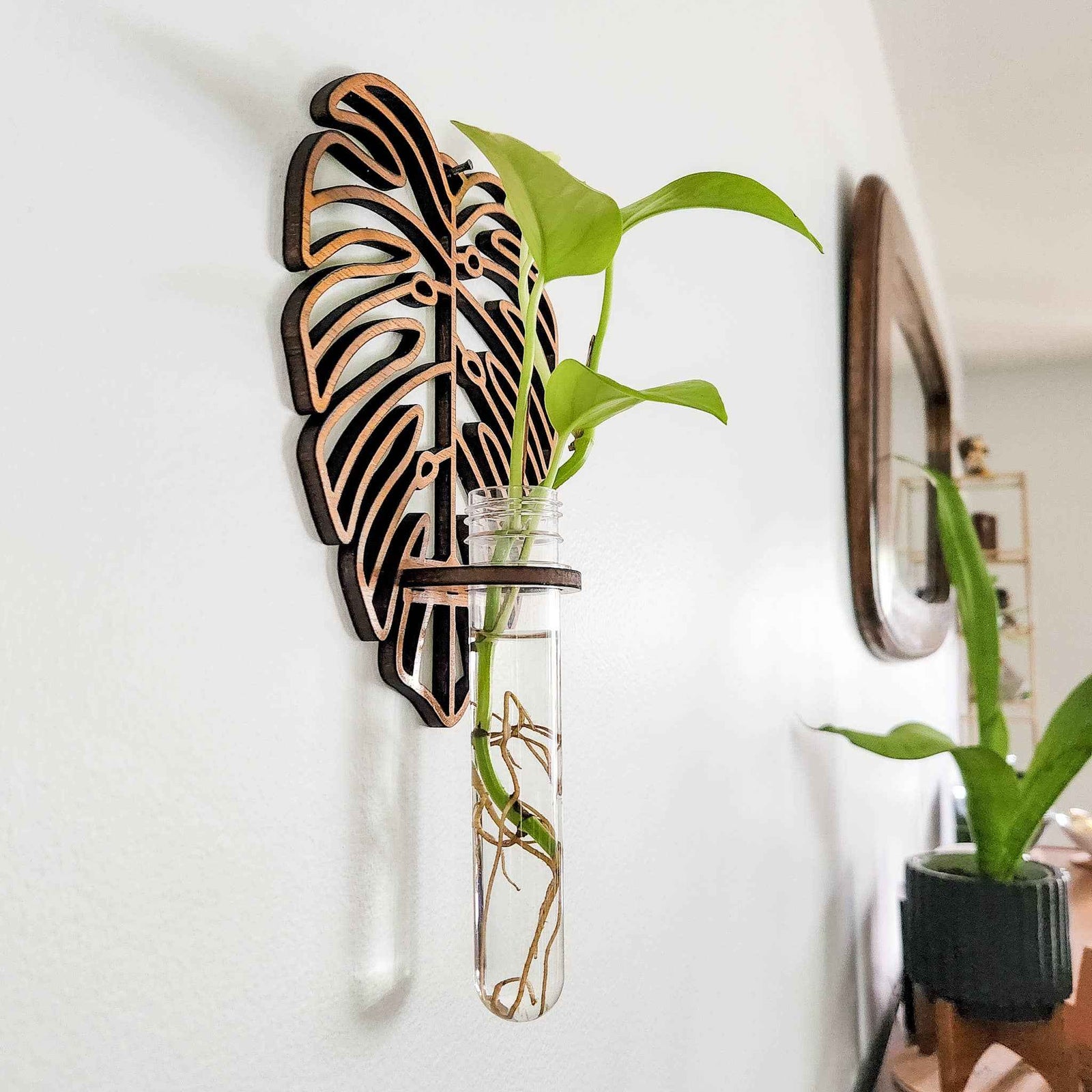 Wall Hanging Propagation Station - Monstera Leaf Design