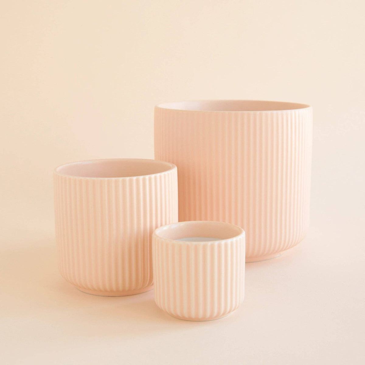 Lucy Planter | Ballerina