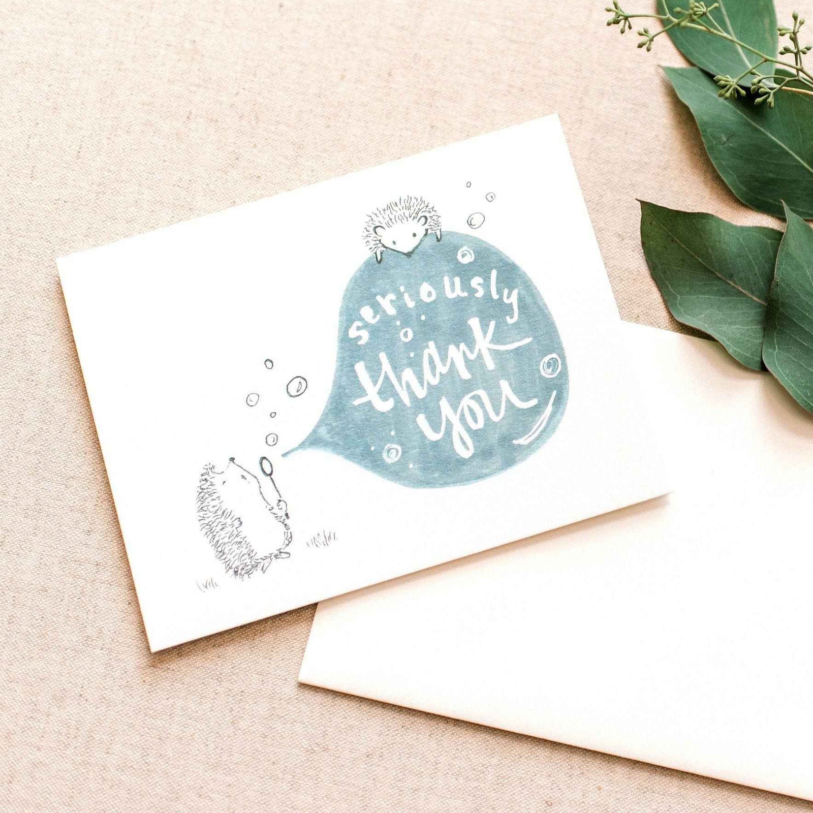 Box of 6 Hedgehog Thank You Note Cards Hedgehog Card Bubbles