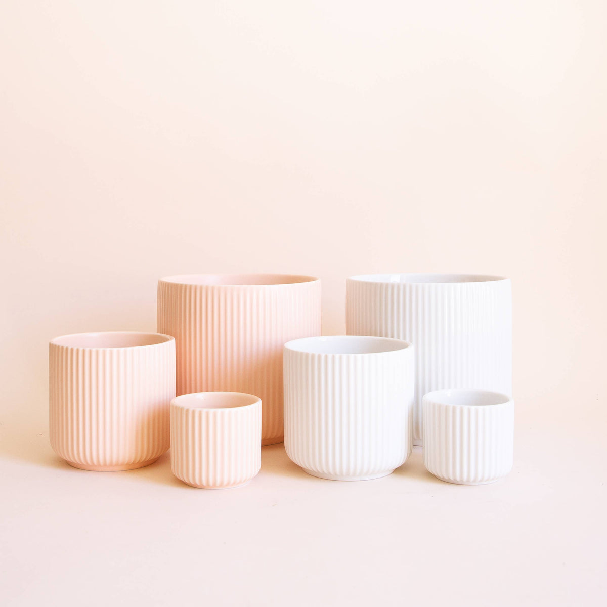 Lucy Planter | Ballerina