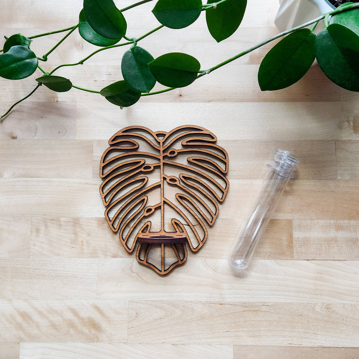 Wall Hanging Propagation Station - Monstera Leaf Design