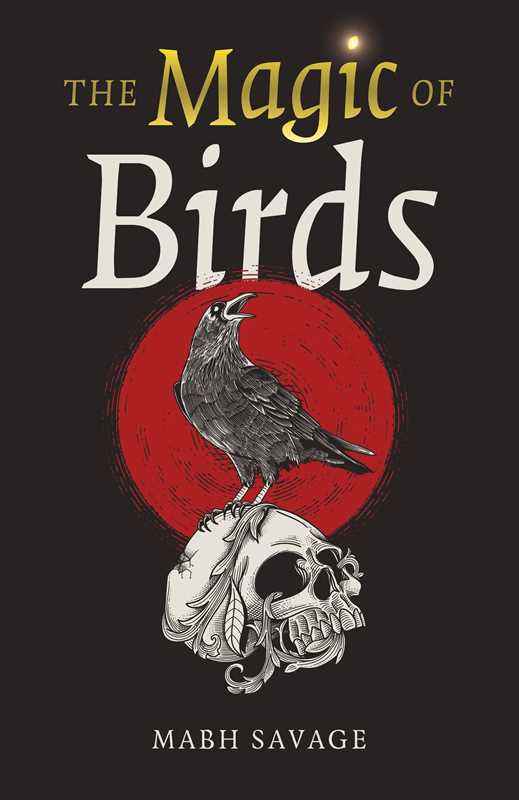 Magic of Birds by Mabh Savage