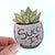 Succ It Vinyl Sticker with image of a succulent
