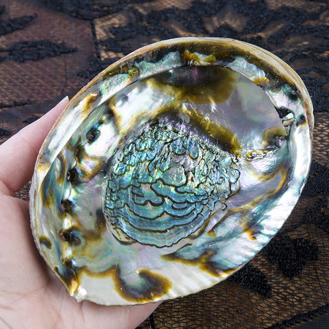 Abalone Shell Smudging Dish