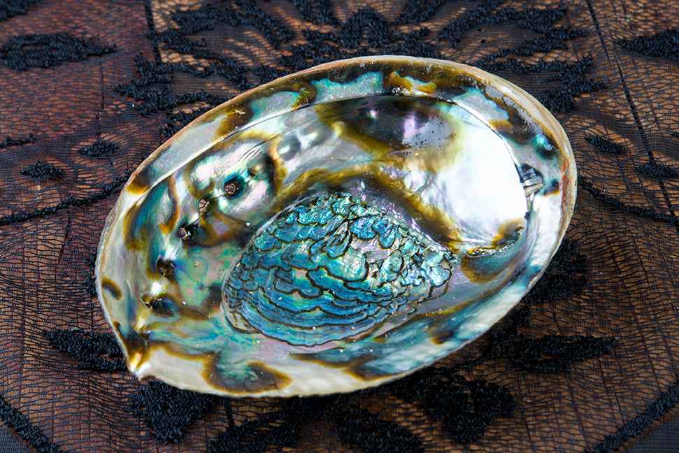 Abalone Shell Smudging Dish
